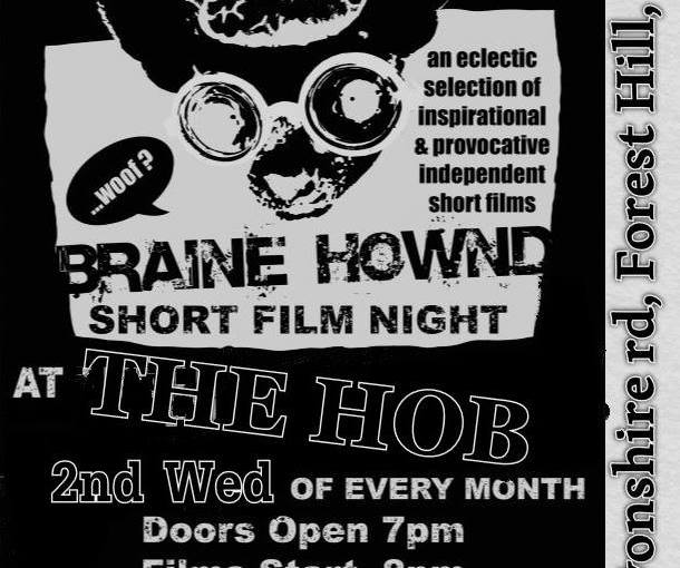 Goin’ South: BraineHownd Shows Code&nbsp;Grey