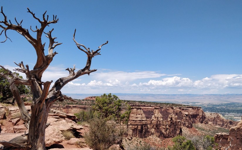 The Last Ride Of The White&nbsp;Buffalo