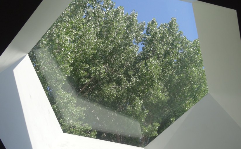 The Cut – Issue&nbsp;11