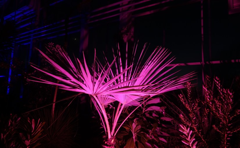 The Cut Season 2 Episode&nbsp;24